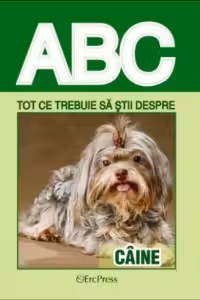 ABC Tot ce trebuie să știi despre: Câine