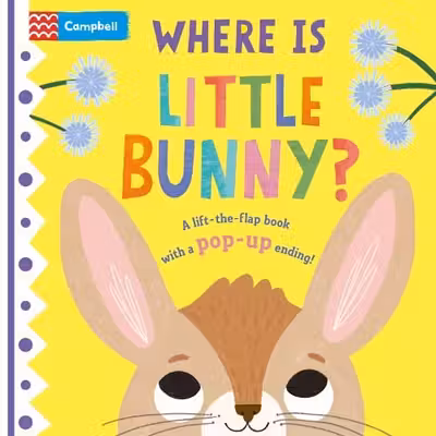 Where is Little Bunny?
