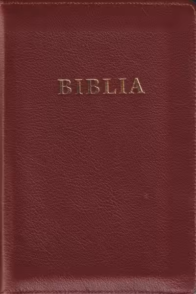 Biblia handmade cu piele