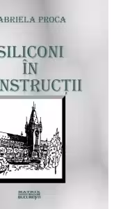 Siliconi in constructii