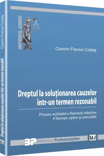Dreptul La Soluționarea Cauzelor Într-Un Termen Rezonabil