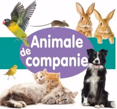 Animale de companie - CARTONATA