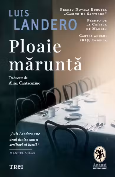 Ploaie măruntă