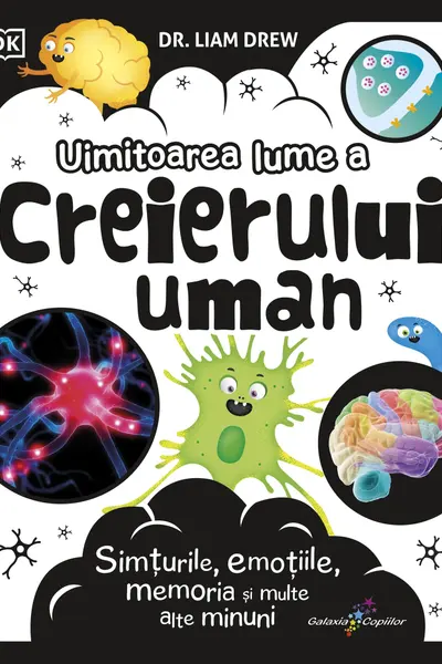Uimitoarea lume a creierului uman