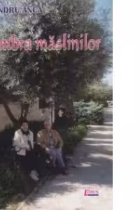 În umbra măslinilor