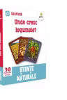 Unde cresc legumele?