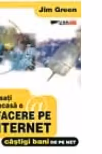 Lansati de acasa o afacere pe Internet. Cum sa castigi bani pe Net