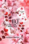 Aici m-am pierdut