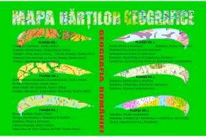 Mapa hărților geografice: Geografia României