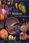 Moldova. Oameni, locuri, bucatarie si vin. Cartier