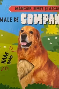 Animale De Companie - Mangaie Simte Si Asculta