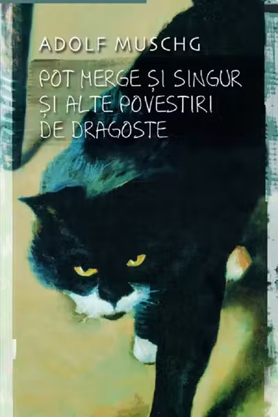 Pot merge și singur și alte povesti de dragoste