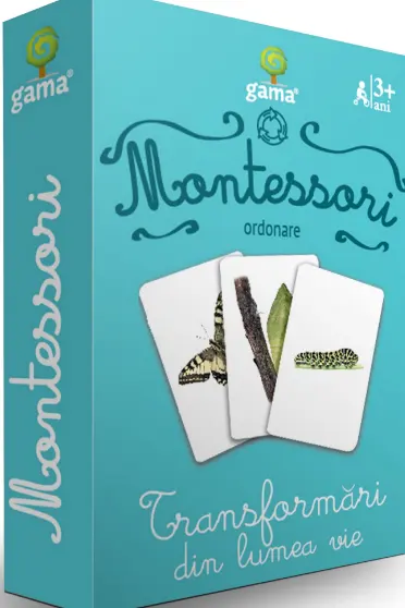 Ordonare. Transformari din lumea vie