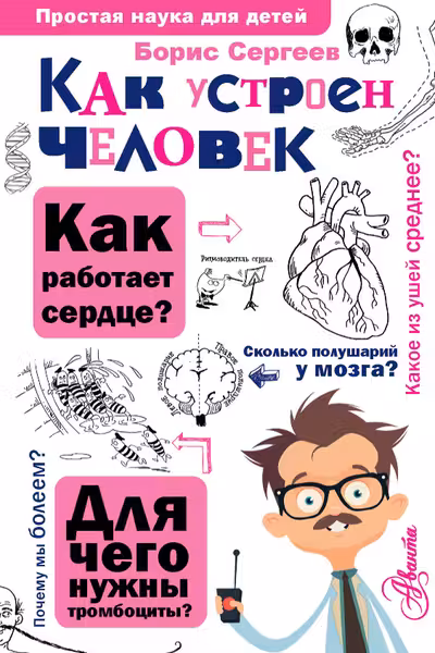 Как устроен человек