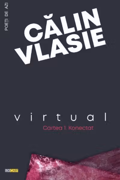 Virtual. Cartea 1: Konectat