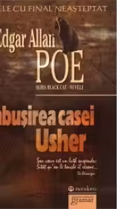 Prăbușirea casei Usher. Nuvele