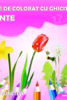 Plante