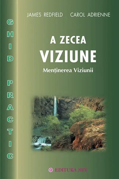 A zecea viziune. Ghid practic