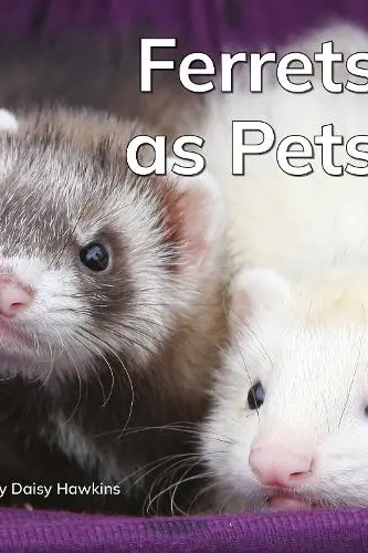 Ferrets as Pets