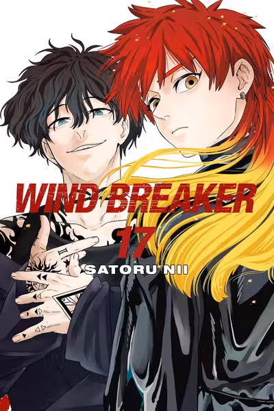 Wind Breaker - Volume 17
