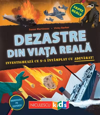 Dezastre din viata reala