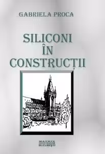 Siliconi in constructii