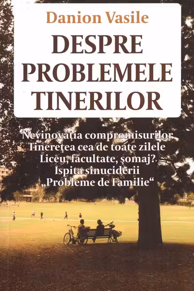 Despre problemele tinerilor