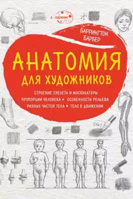 Анатомия для художников