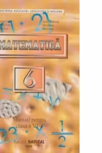 Matematica. Manual pentru clasa a VI-a
