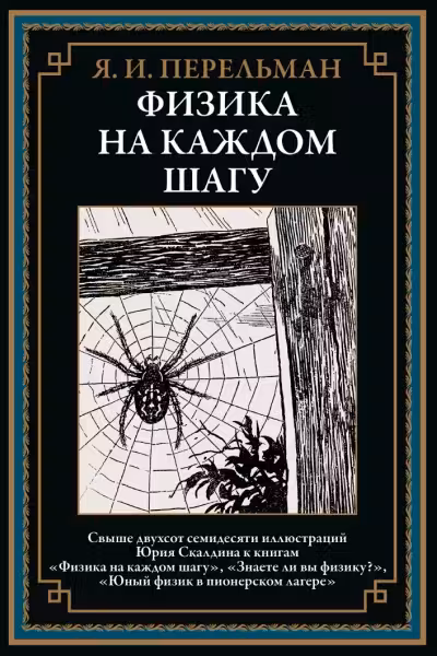 Физика на каждом шагу