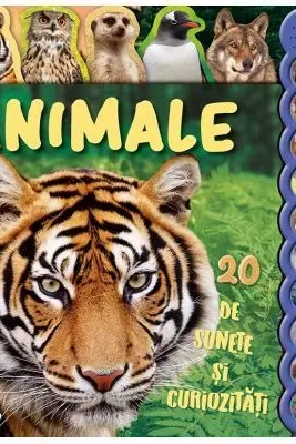 20 de sunete si curiozitati - Animale