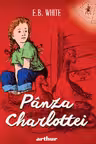 Panza Charlottei