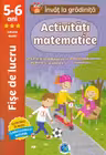 Activitati matematice 5-6 ani - Fise de lucru - Grupa mare