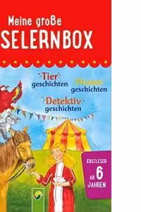 Meine grosse Leselernbox: Tiergeschichten, Hexengeschichten, Detektivgeschichten