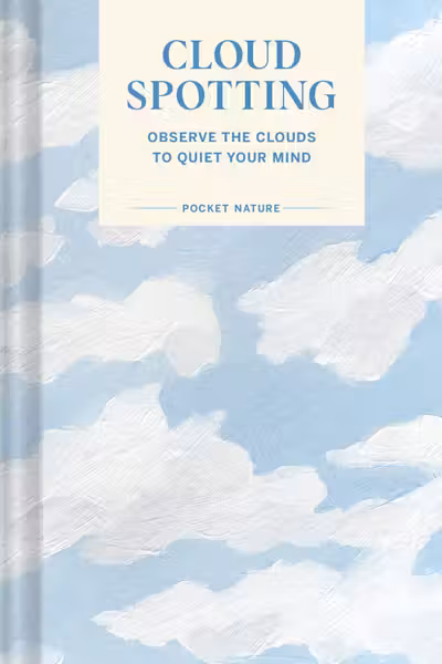 Cloud Spotting