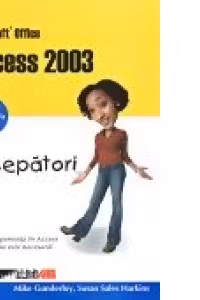 MICROSOFT OFFICE ACCESS 2003 PENTRU INCEPATORI