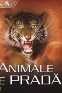 Descopera animale de prada