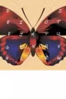 Puzzle Alfabet Rosu