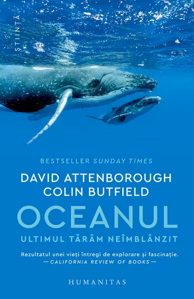 Oceanul