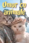 Umor cu animale