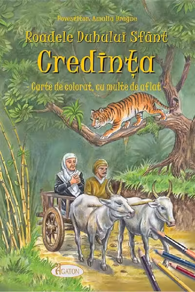 Roadele Duhului Sfânt Vol.4: Credința