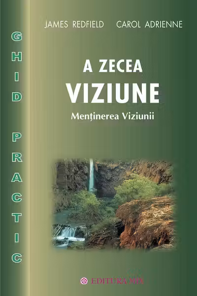 A zecea viziune. Ghid practic