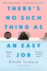 THERES NO SUCH THING AS AN EASY