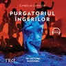 Purgatoriul îngerilor (audiobook)