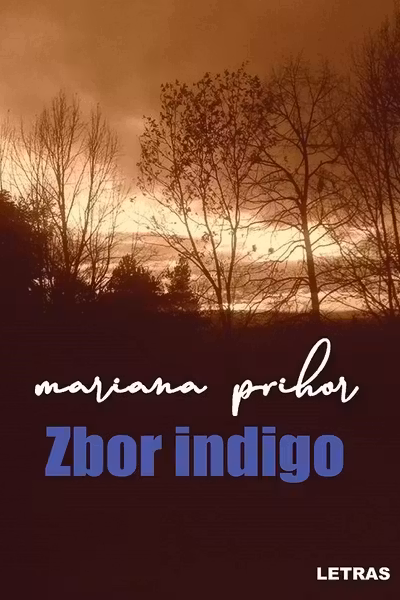 Zbor indigo