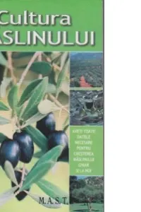 Cultura maslinului