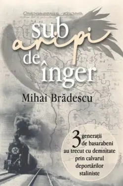 Sub aripi de inger