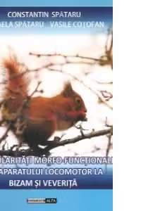 Particularitati morfo-functionale ale aparatului locomotor la bizam si veverita