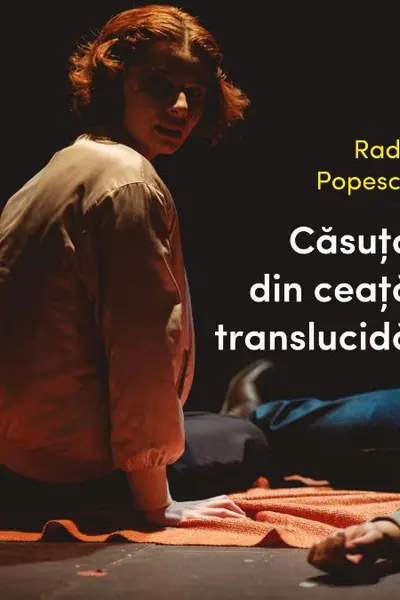 Casuta din ceata translucida