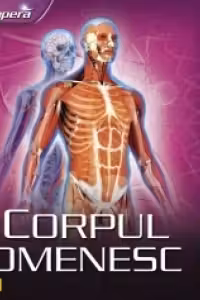 Descopera corpul omenesc